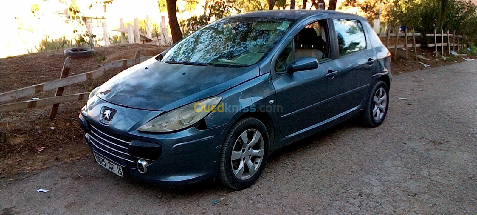 Peugeot 307 2006 Oxygo