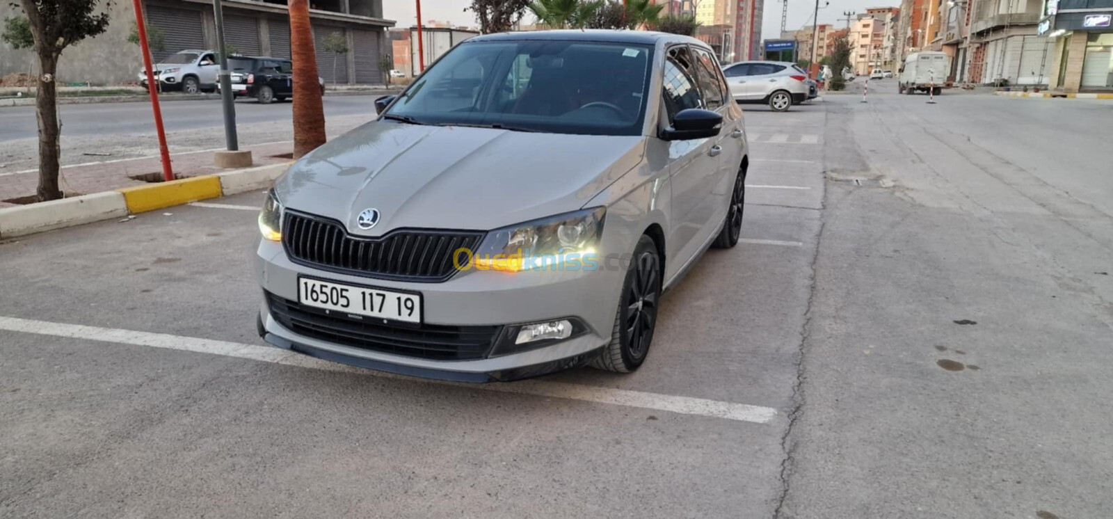 Skoda Fabia 2017 Monte Carlo