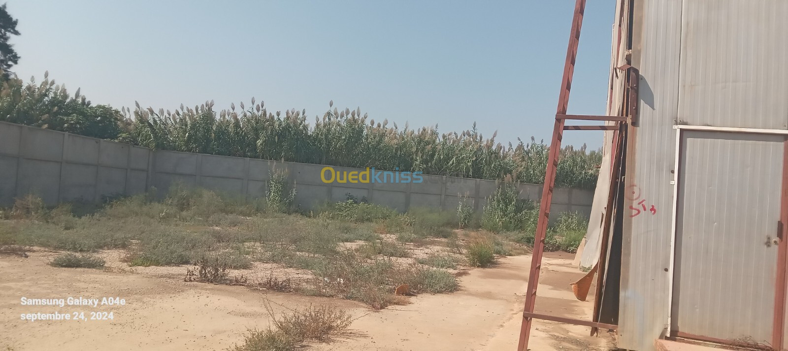 Vente Terrain Boumerdès Ouled hedadj