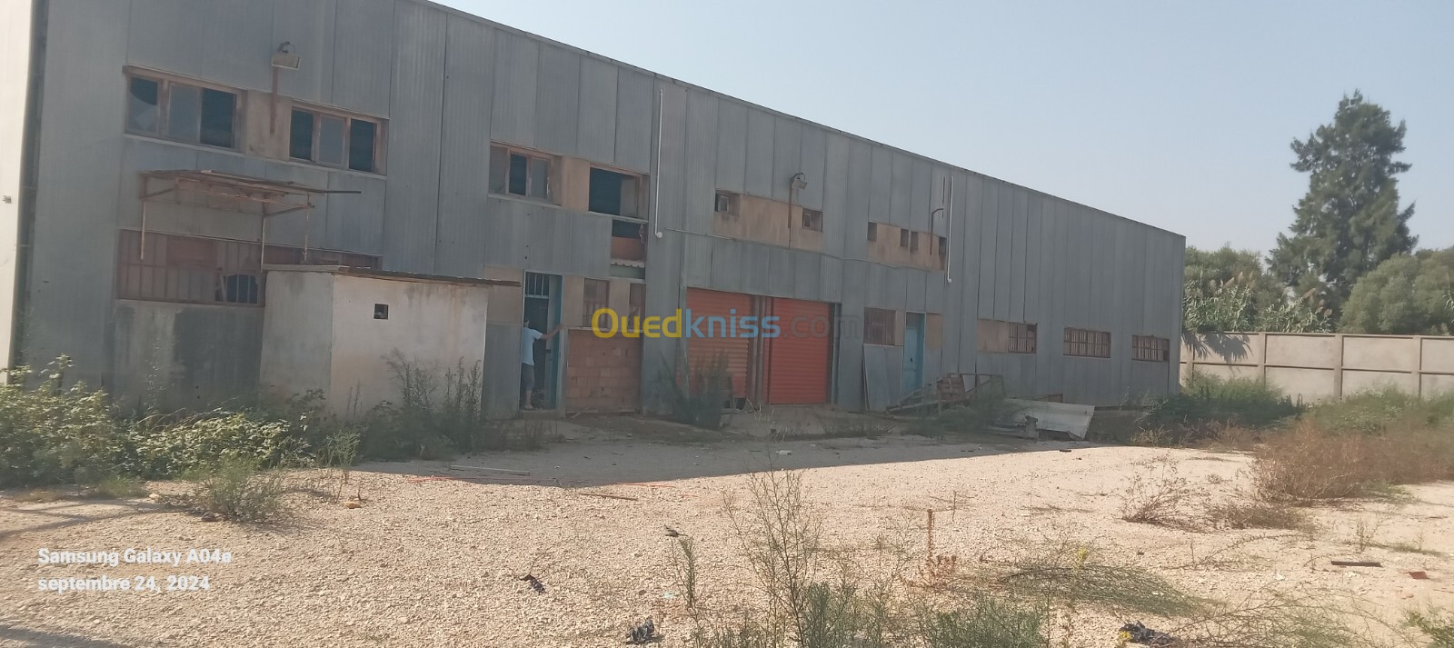 Vente Terrain Boumerdès Ouled hedadj