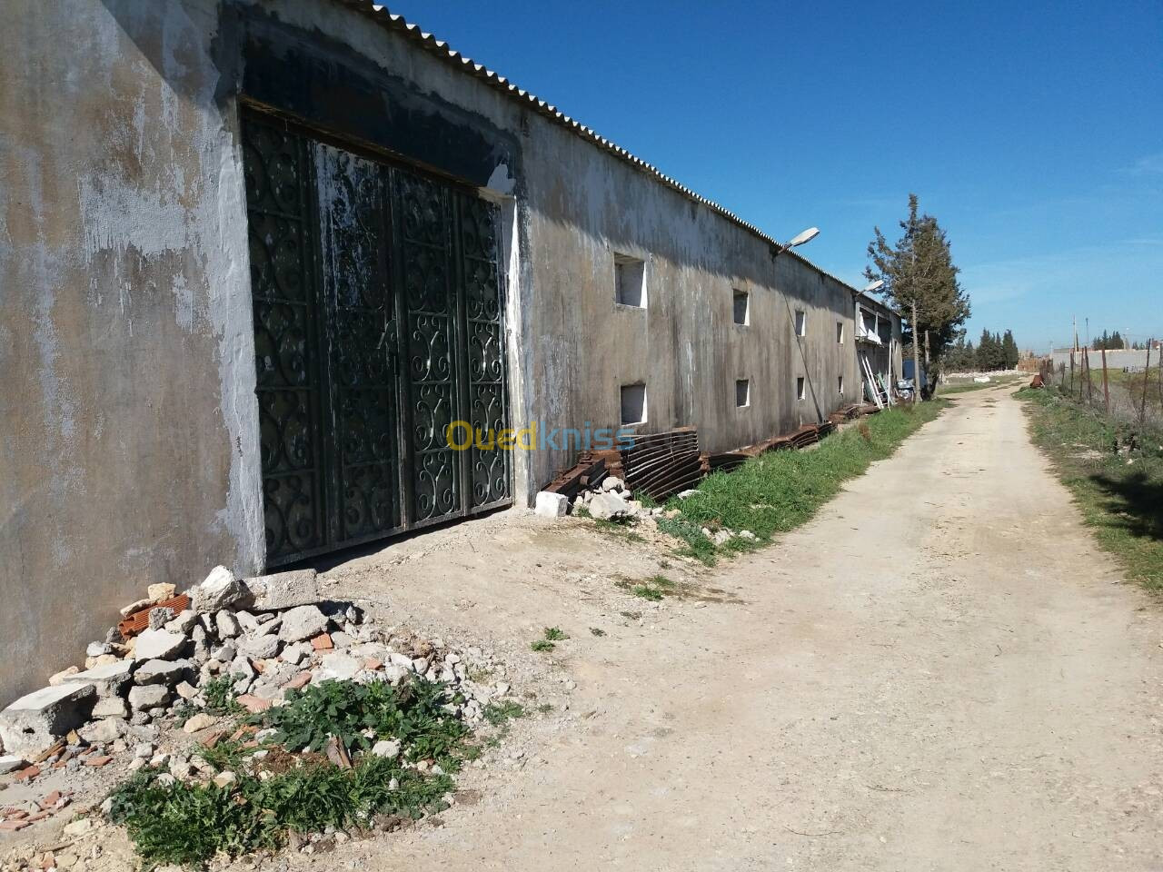 Location Hangar Sétif Mezloug