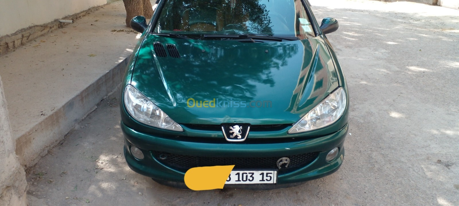 Peugeot 206 2003 Roland-Garros