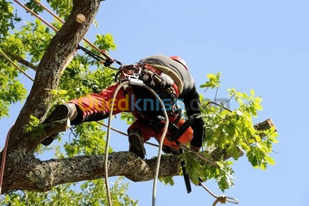  Aménagement Des Espaces Verts, desherbage elagage