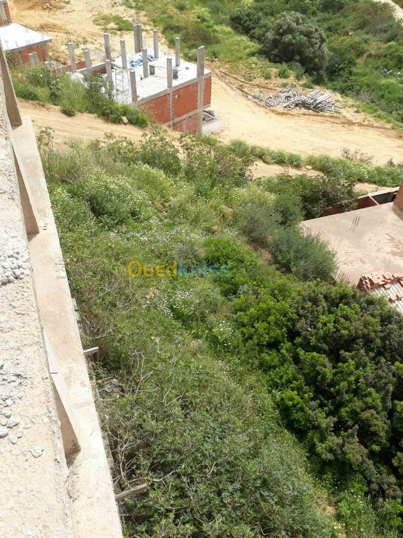 Vente Terrain Alger Khraissia