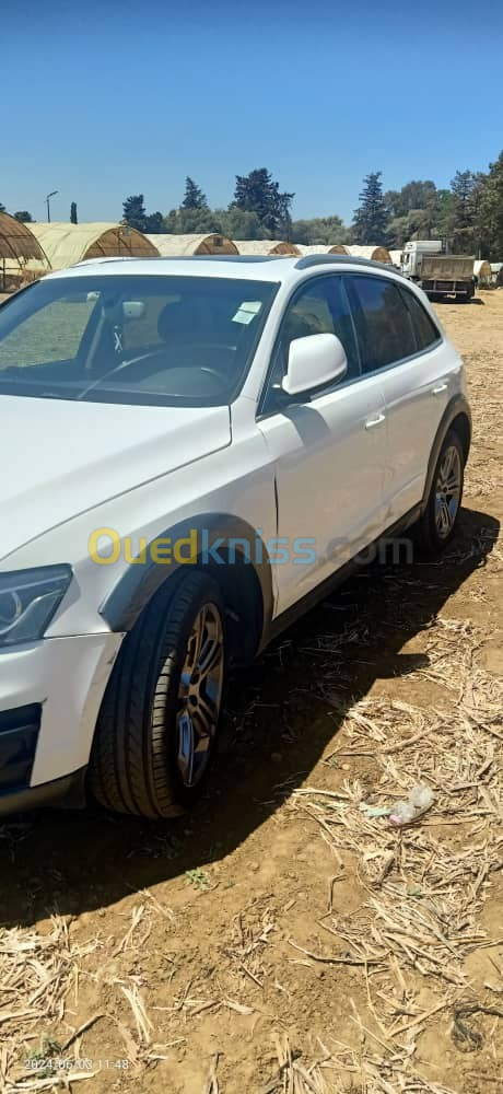 Audi Q5 2013 Offroad