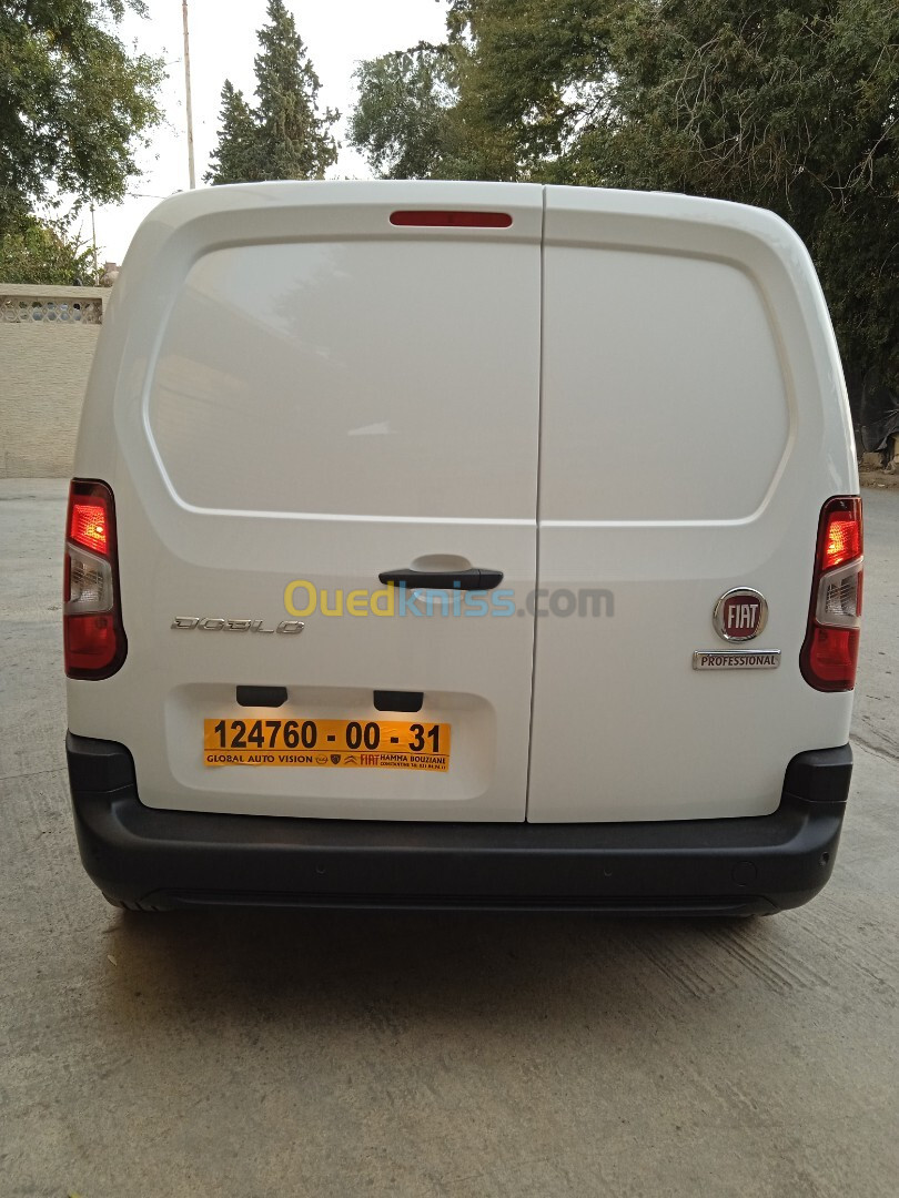 Fiat Professional Doblo 2024 Dz