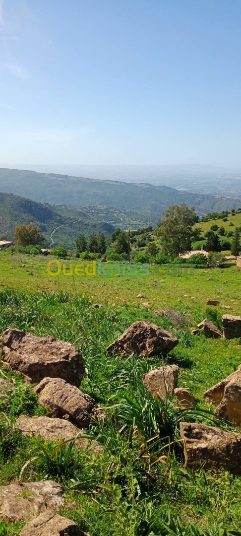 Vente Terrain Boumerdès Khemis el khechna