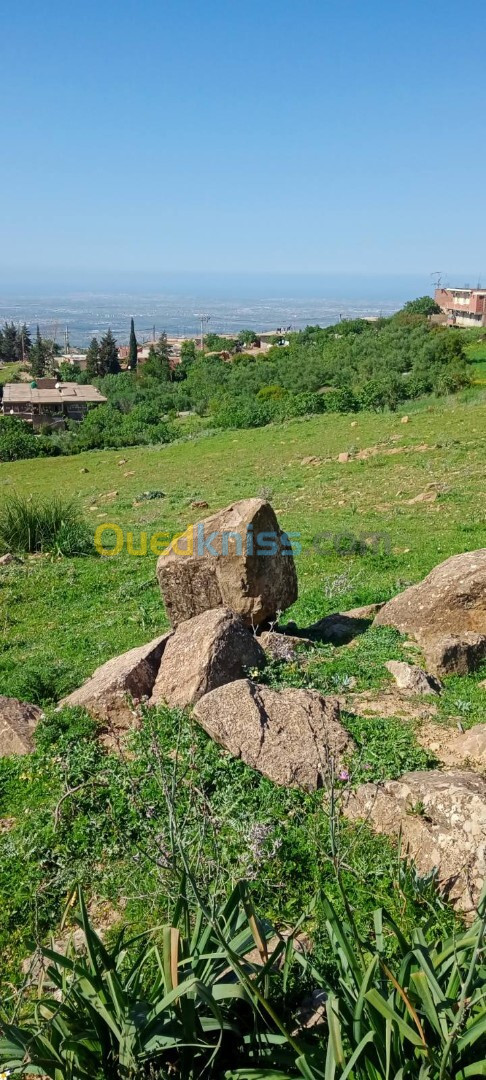 Vente Terrain Boumerdès Khemis el khechna