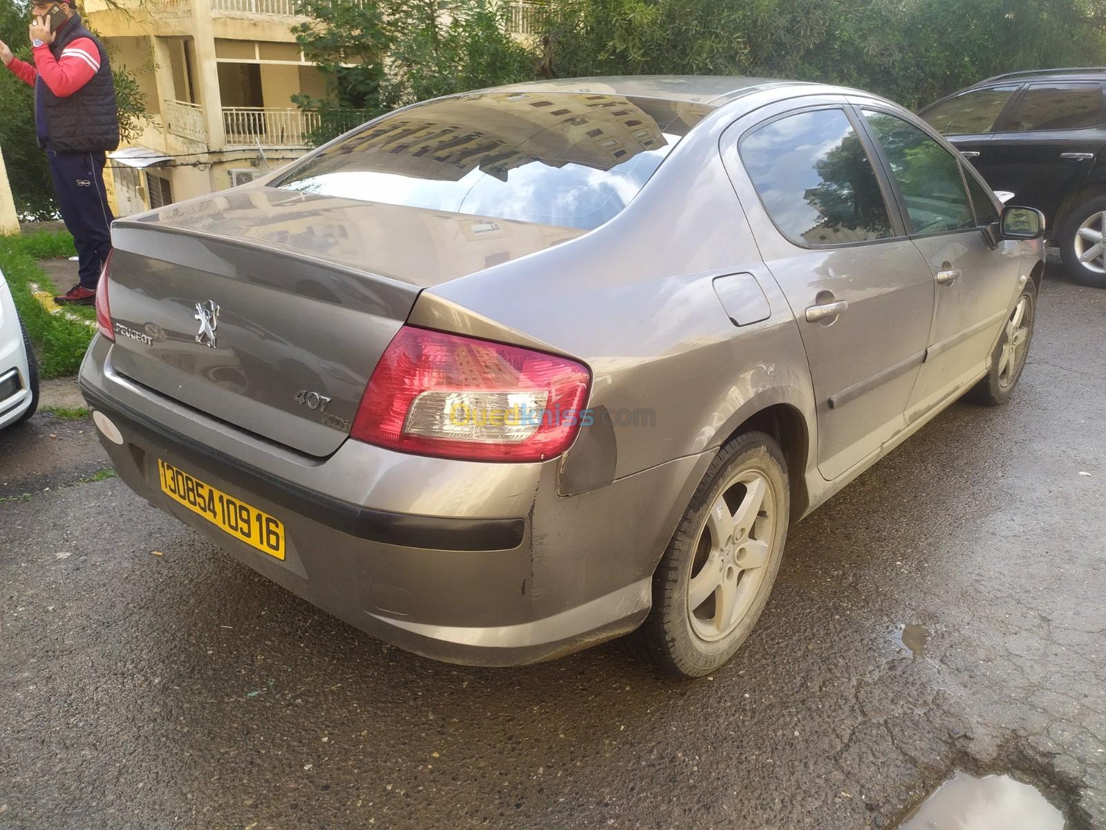 Peugeot 407 2009 407