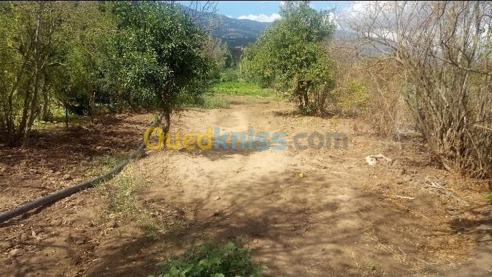 Vente Terrain Bejaia Ouzellaguen