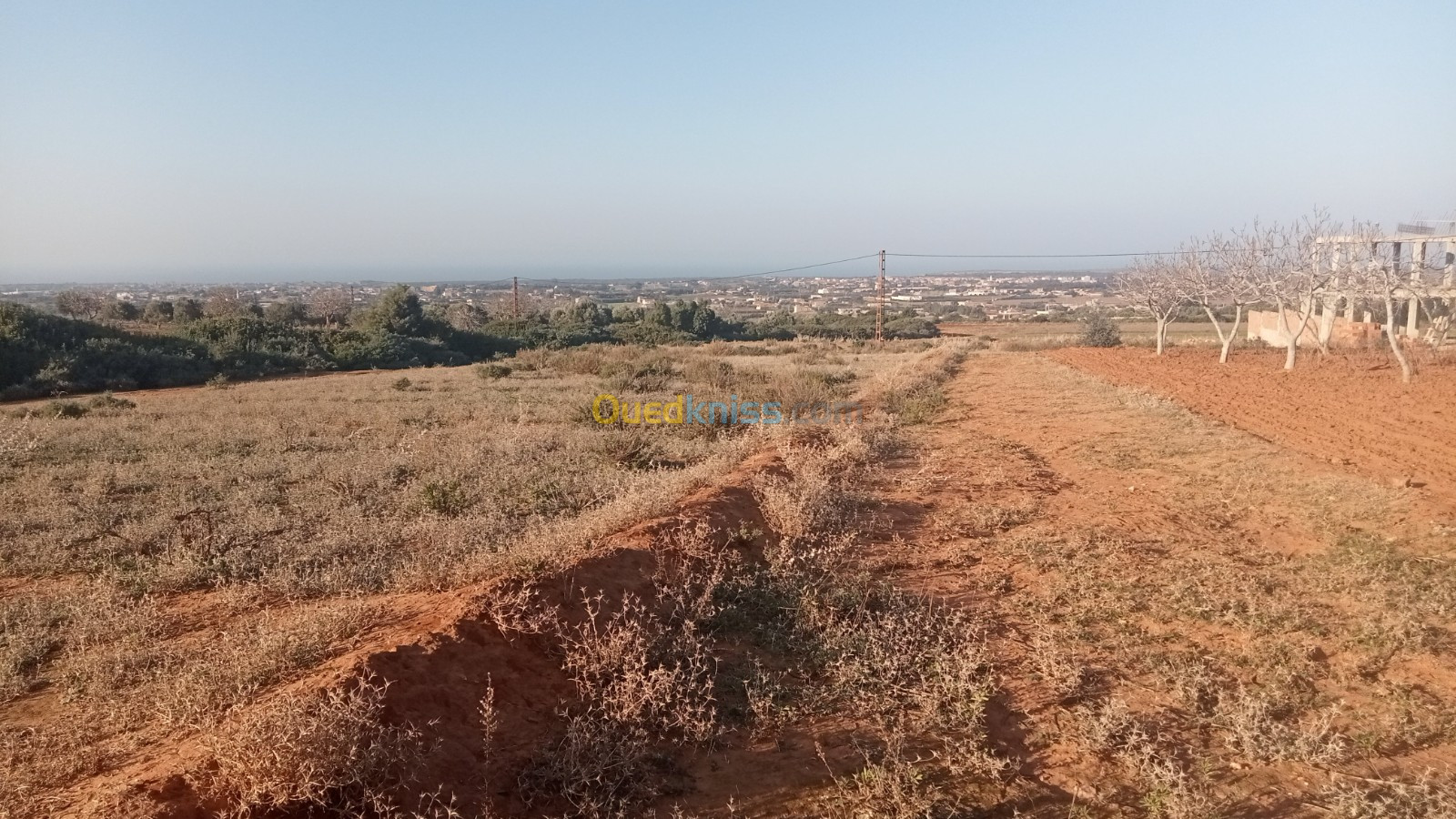 Vente Terrain Mostaganem Sidi lakhdaara