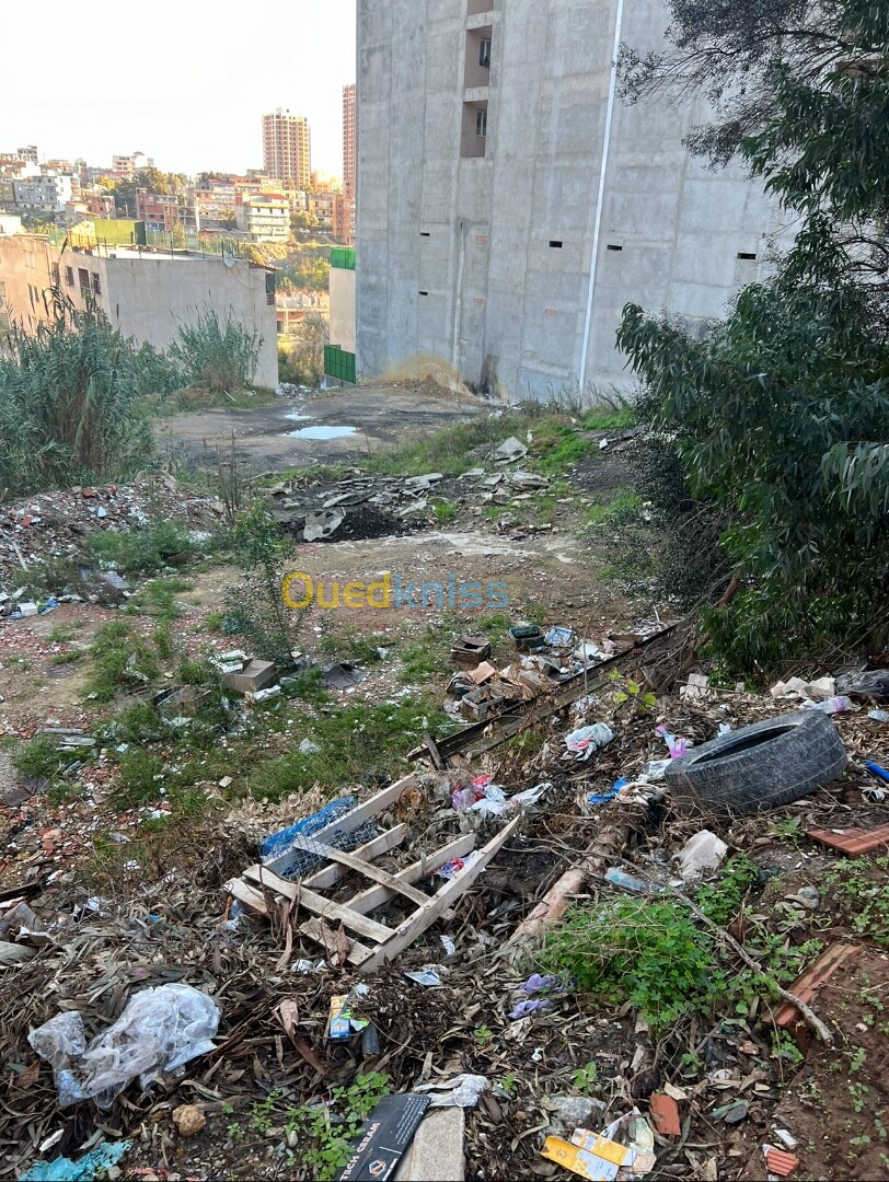 Vente Terrain Alger Saoula