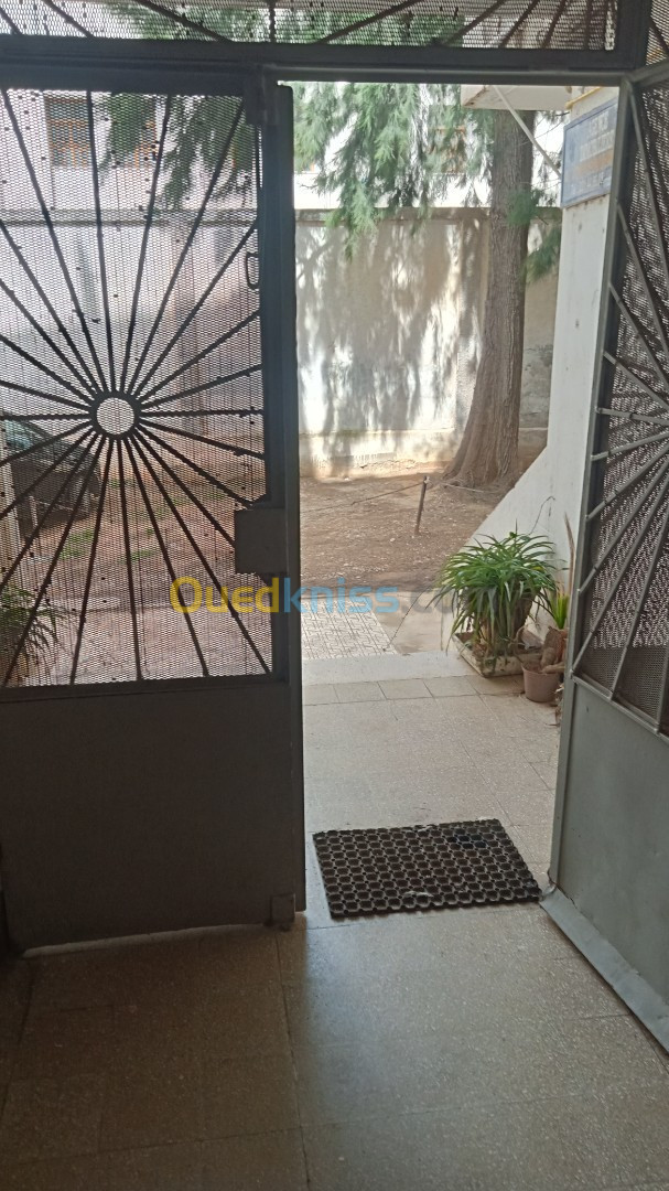 Location Appartement F1 Alger Birkhadem