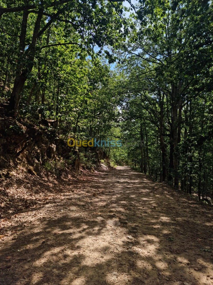 Excursion JOURNEE -RANDONNEE- PONT DE 9 M AKFADOU