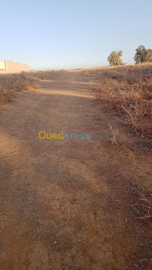 Vente Terrain Boumerdès Ouled moussa