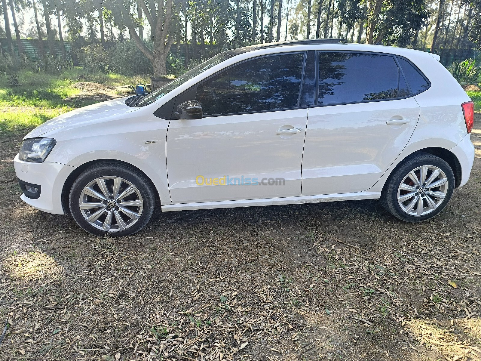 Volkswagen Polo 2013 Life