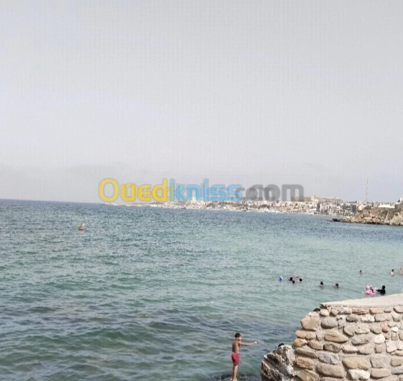 Vente Appartement F2 Alger El marsa