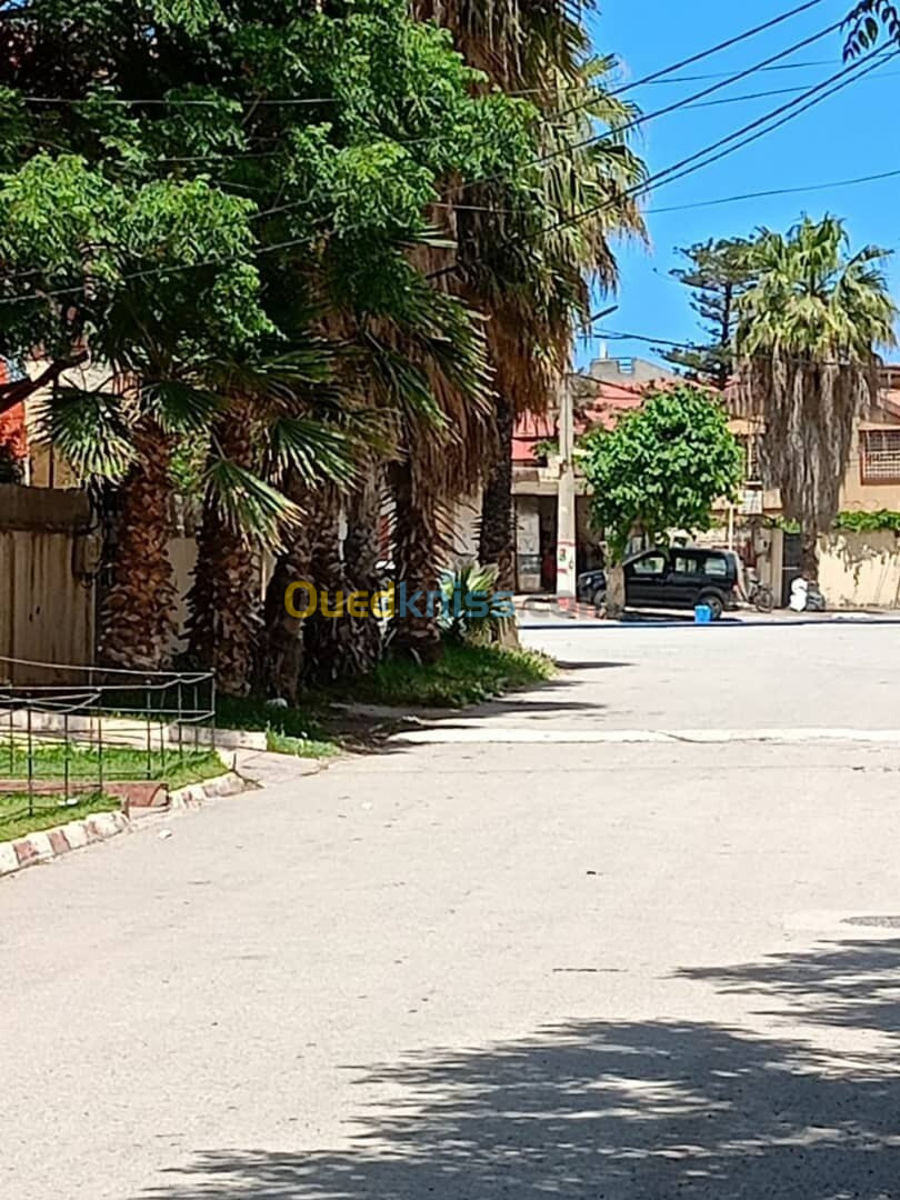 Vente Appartement F3 Alger Bordj el bahri