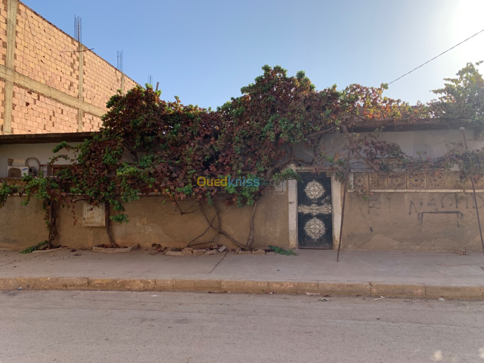 Vente Villa Aïn Defla El amra