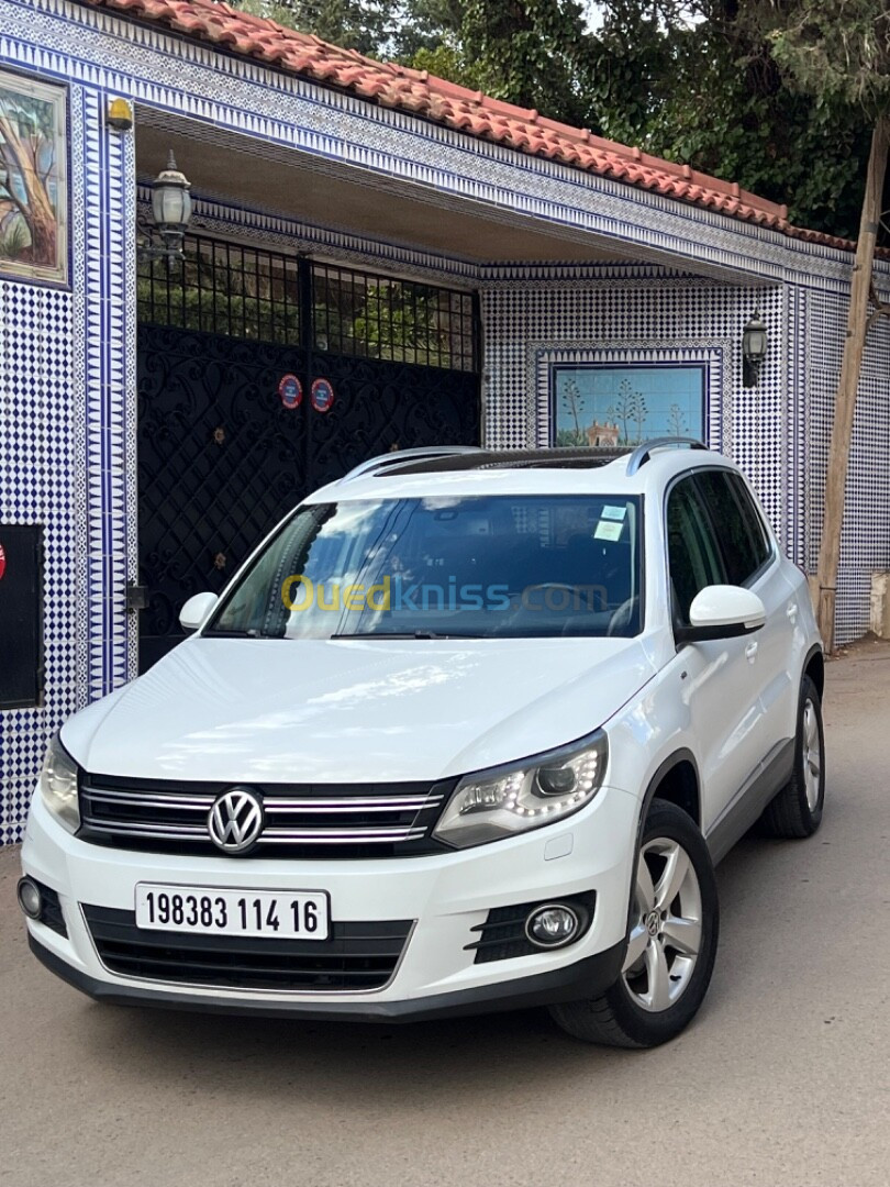 Volkswagen Tiguan 2014 Cup