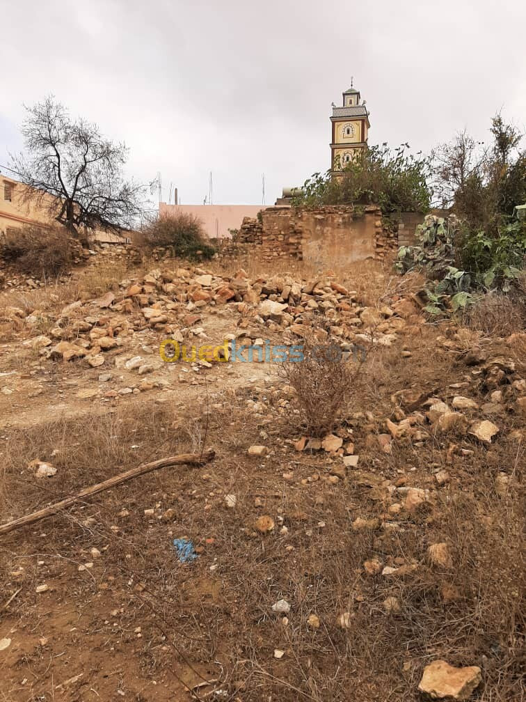 Vente Terrain Tlemcen Nedroma