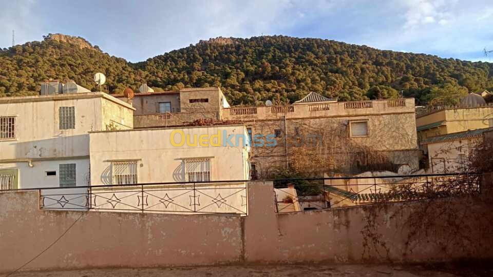 Vente Villa Tlemcen Tlemcen