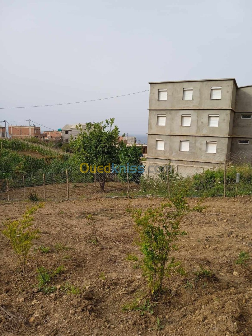 Vente Terrain Tipaza Larhat