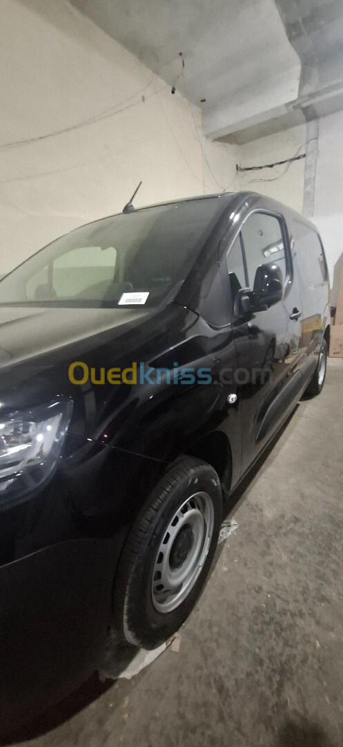 Fiat Doblo 2024 Professionnel