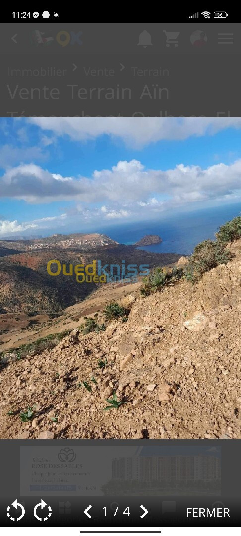 Vente Terrain Aïn Témouchent Oulhaca el gheraba