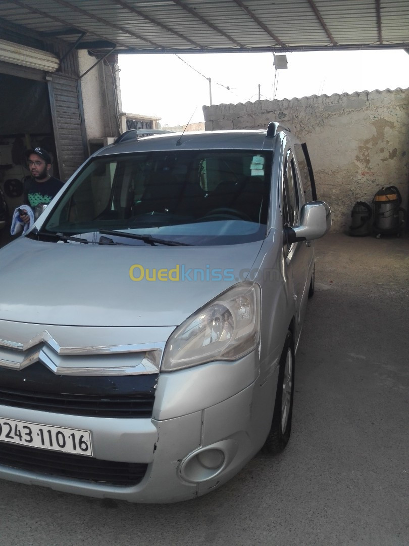 Citroen Berlingo 2010 