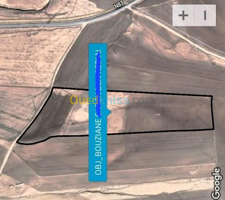 Vente Terrain Agricole Khenchela El mahmal