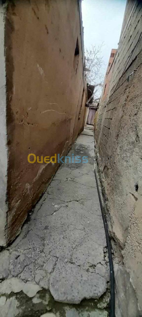 Vente bien immobilier Sétif El ouricia