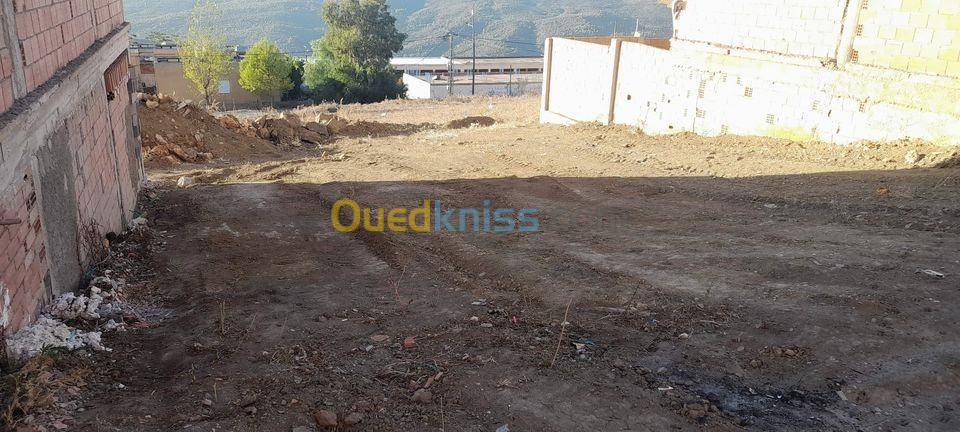 Vente Terrain Blida Djebara