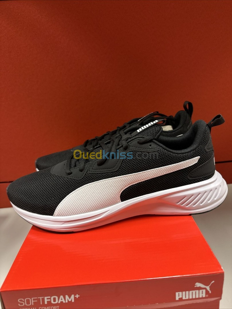 Puma algerie clearance