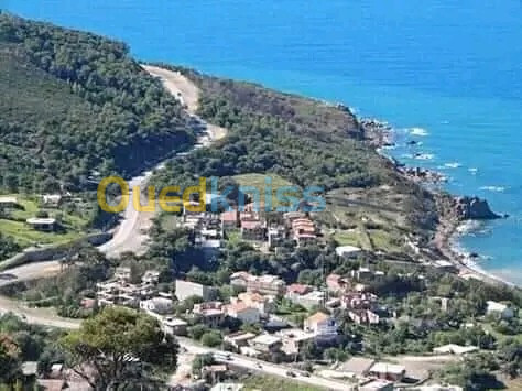 Vente Terrain Tipaza Larhat