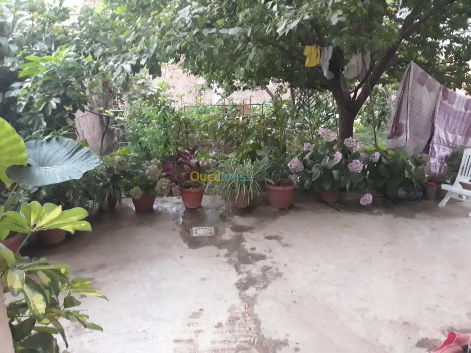 Location vacances Appartement F02 Jijel Jijel