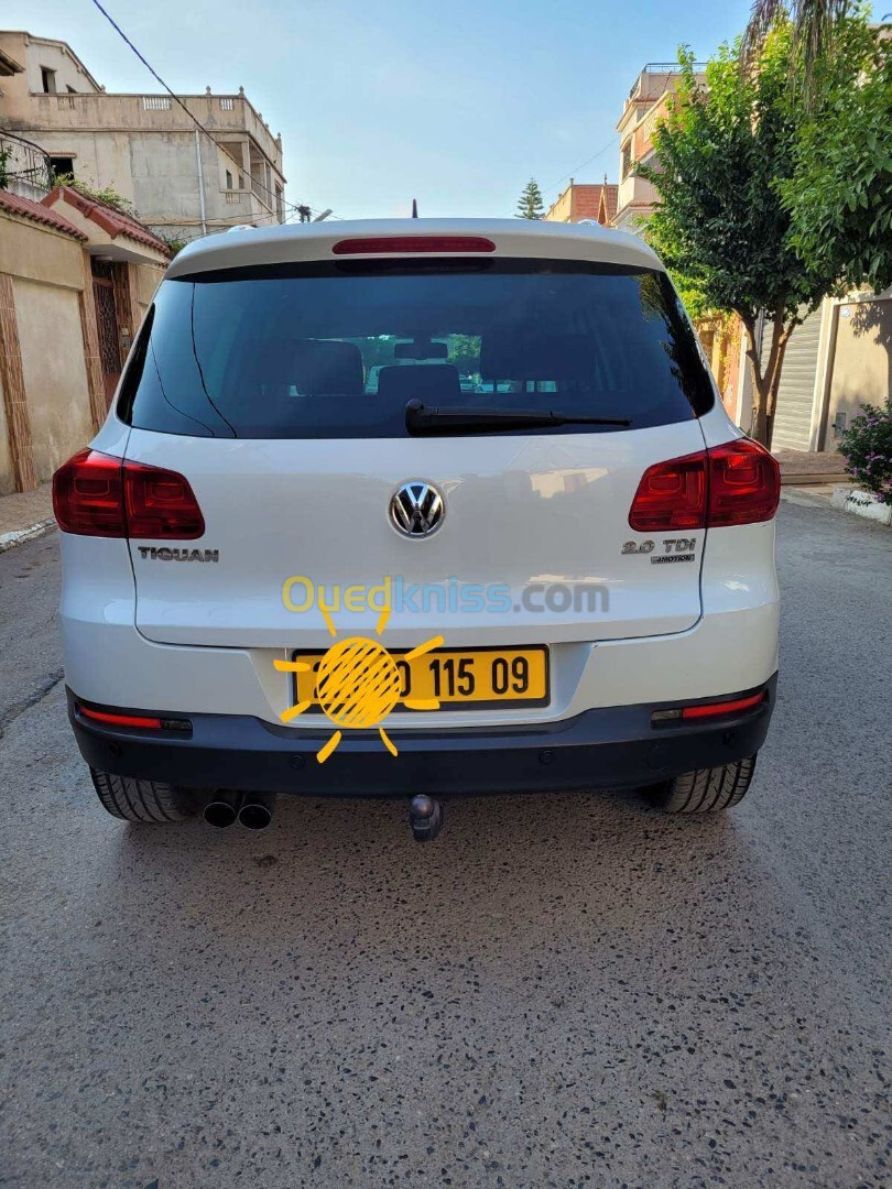 Volkswagen Tiguan 2015 Cup