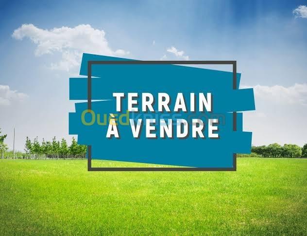 Vente Terrain Alger Draria