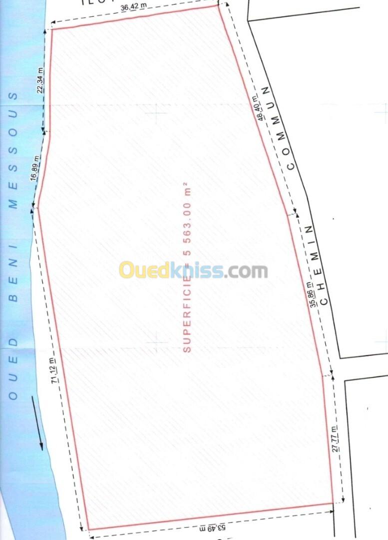 Vente Terrain Alger Cheraga