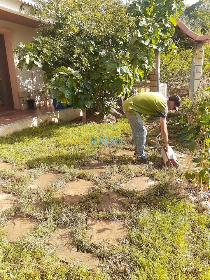 Aménagement d espace vert gazon naturel et plantes