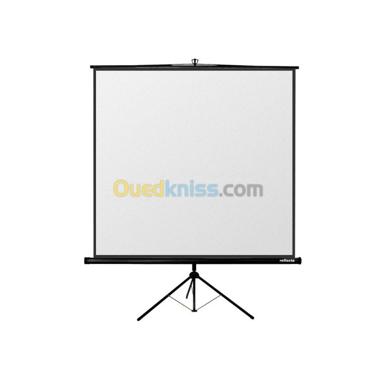 Ecran De Projection 240X240 TREPIED