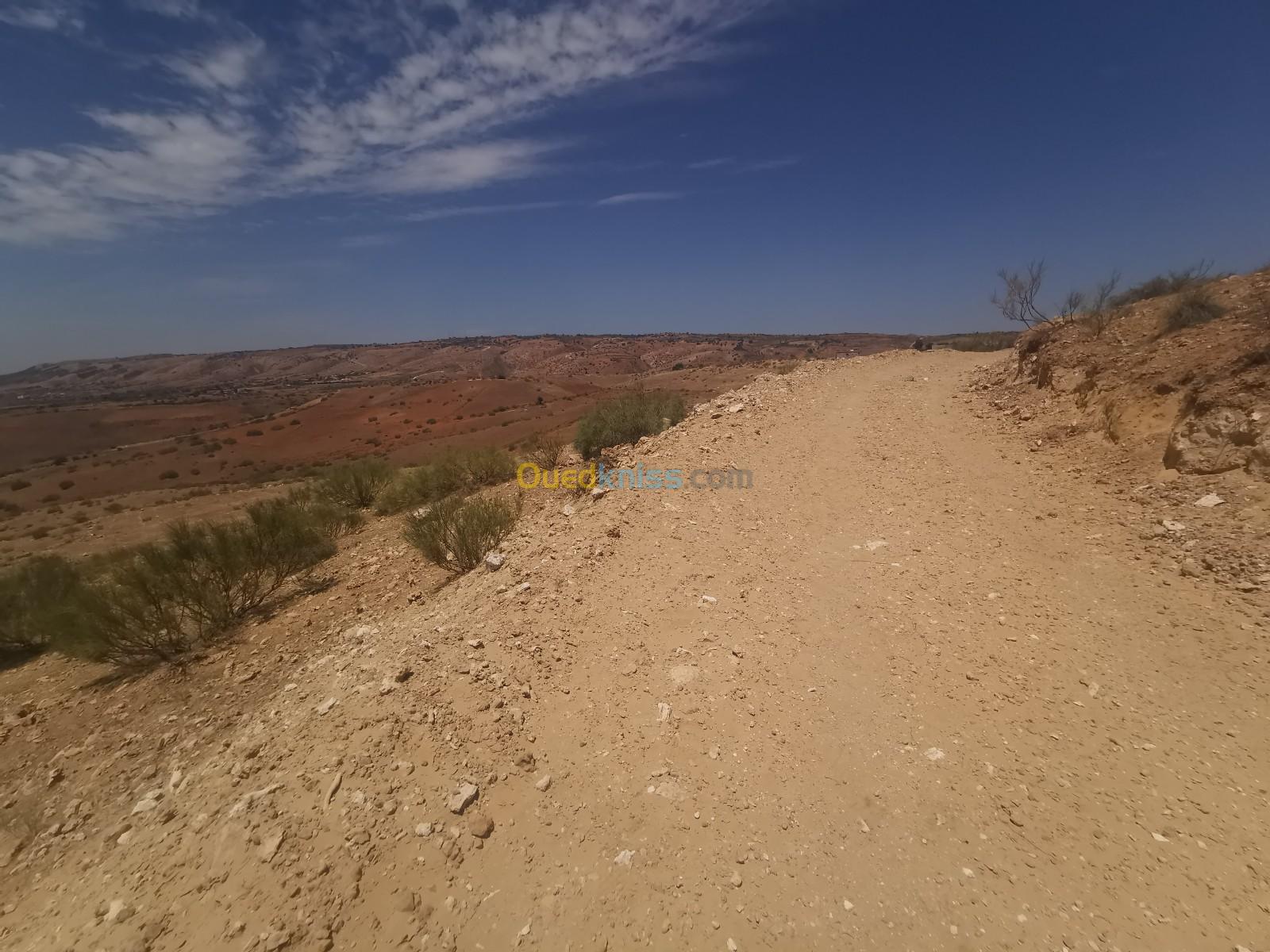 Vente Terrain Agricole Relizane Sidi khettab