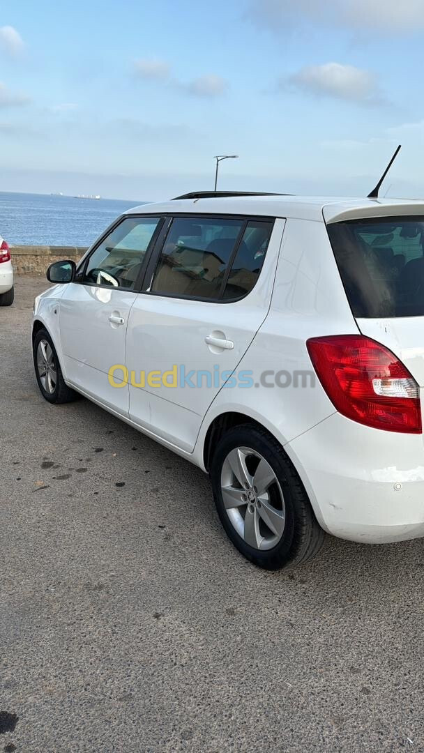 Skoda Fabia 2015 Fresh