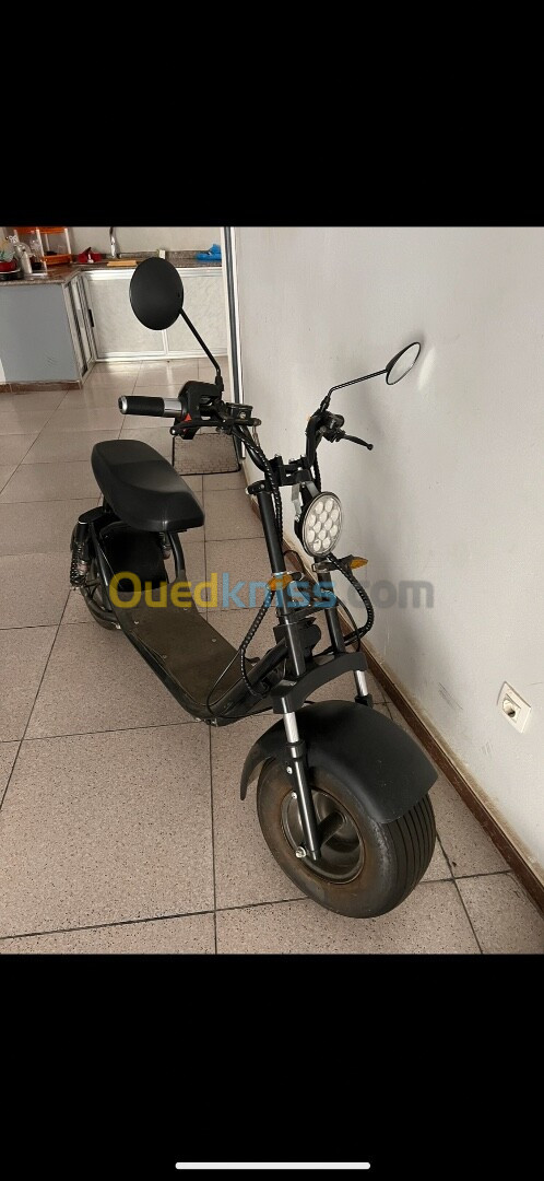 Électrique Scooter 