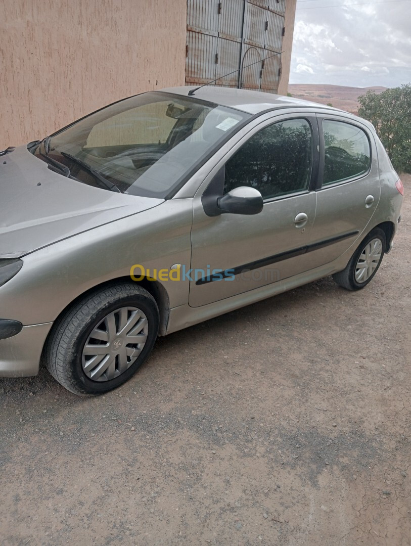 Peugeot 206 2004 206