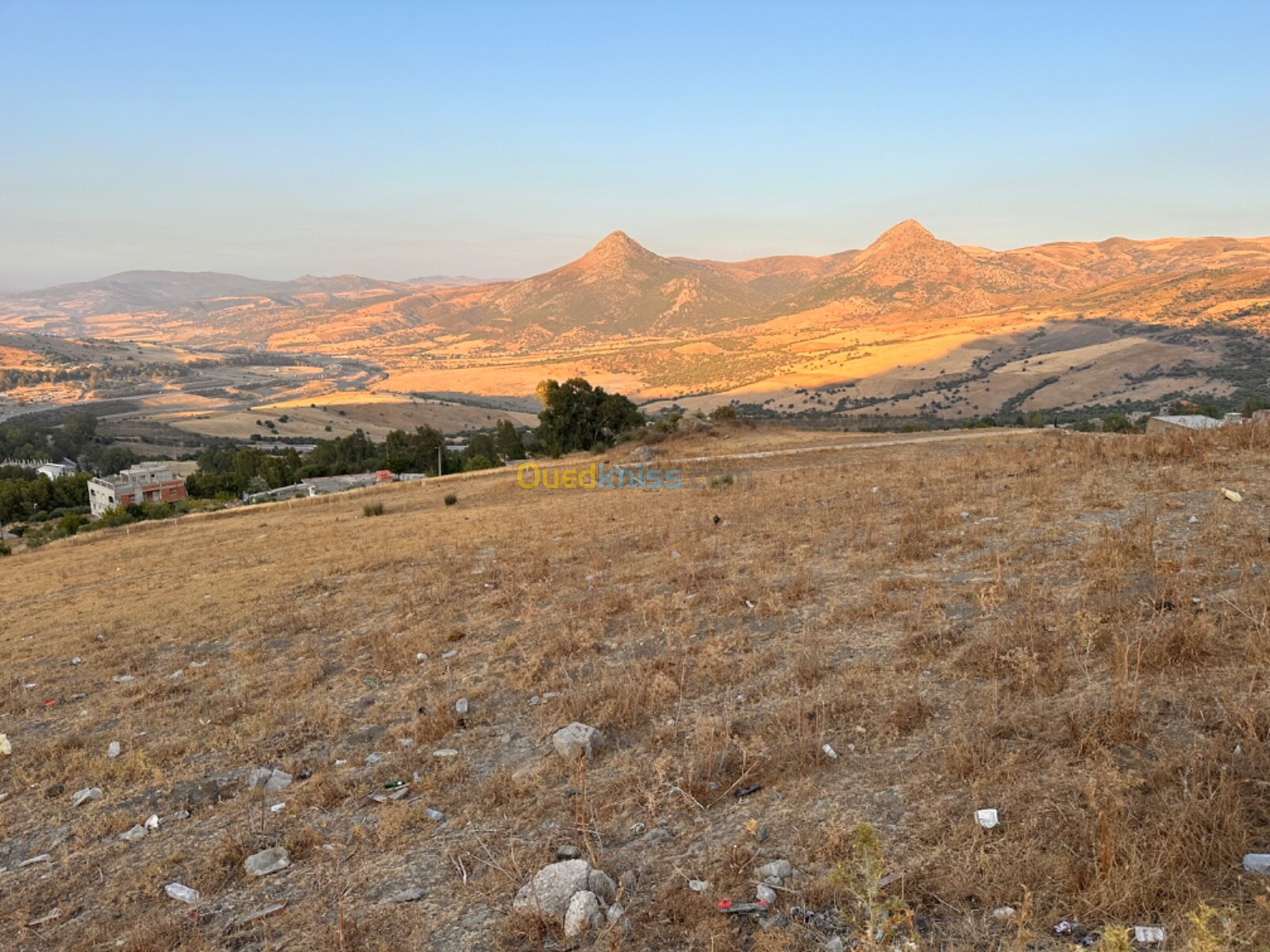 Vente Terrain Skikda Ain bouziane