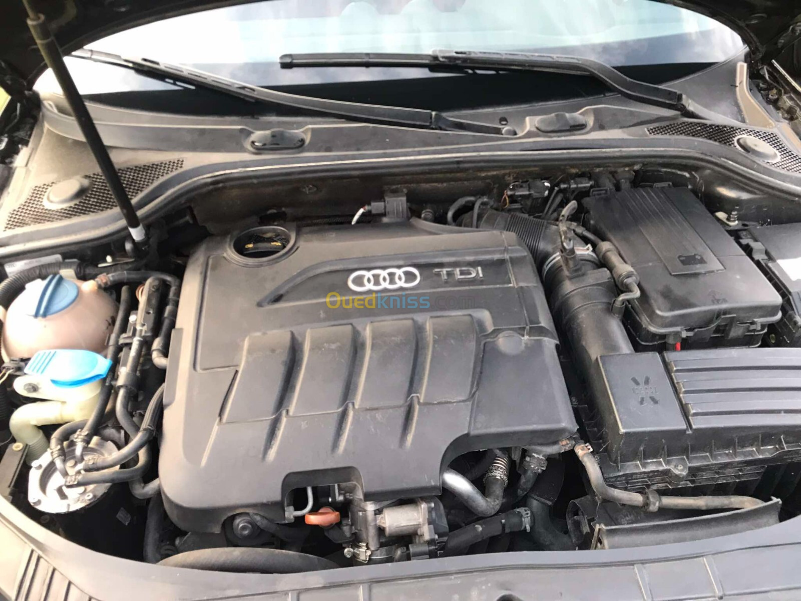 Audi A3 2010 A3