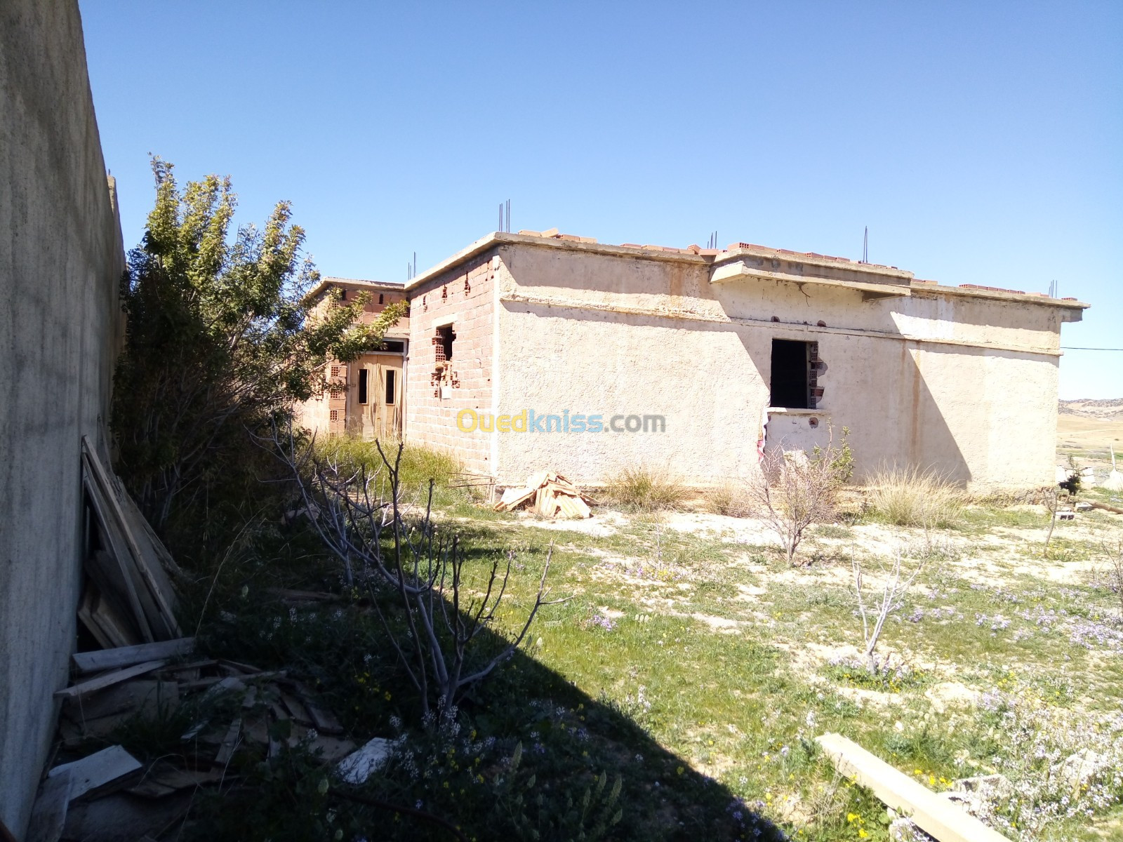 Vente Terrain Batna Djerma