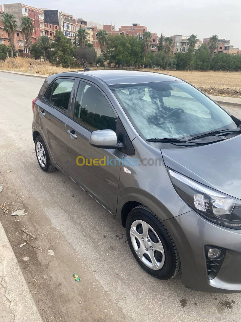 Kia picanto 2023 picanto