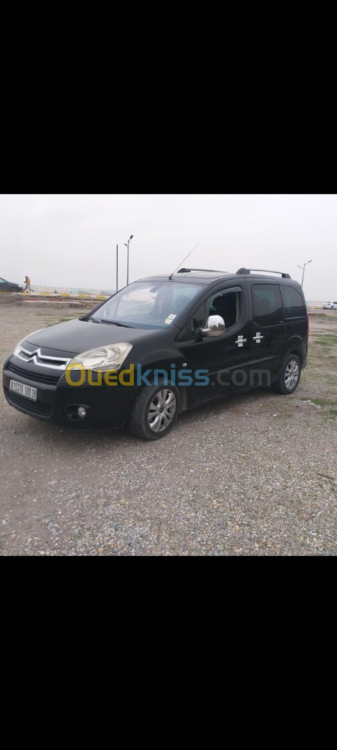 Citroen Berlingo 2009 